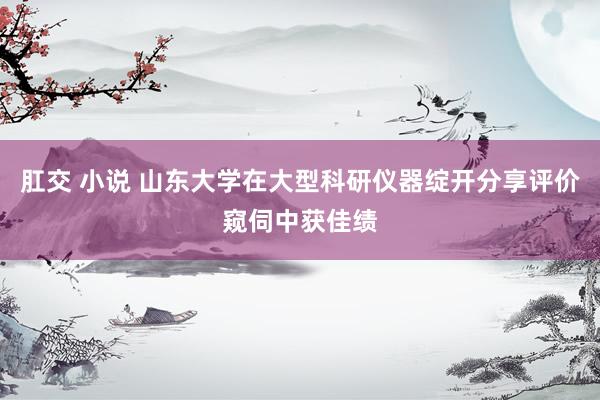 肛交 小说 山东大学在大型科研仪器绽开分享评价窥伺中获佳绩
