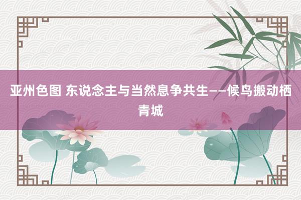 亚州色图 东说念主与当然息争共生——候鸟搬动栖青城