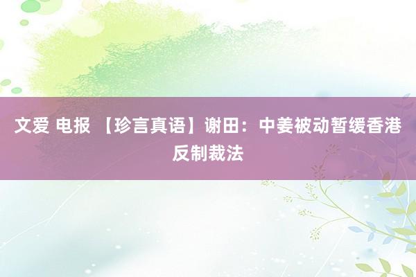 文爱 电报 【珍言真语】谢田：中姜被动暂缓香港反制裁法