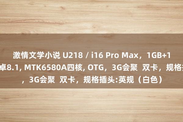 激情文学小说 U218 / i16 Pro Max,1GB+16GB,6.6寸屏安卓8.1, MTK6580A四核, OTG,3G会聚 双卡,规格插头:英规(白色)