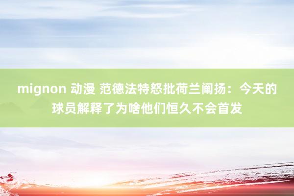 mignon 动漫 范德法特怒批荷兰阐扬：今天的球员解释了为啥他们恒久不会首发